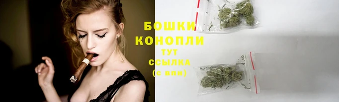 Альфа ПВП Заволжье