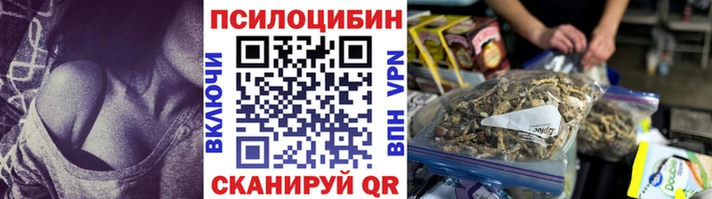 Псилоцибиновые грибы мицелий  Купить закладки  Ува 